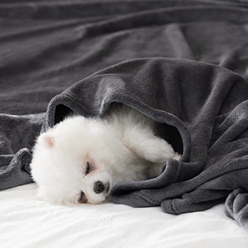 BEAUTEX Fleece Blanket Twin Size Soft Flannel Throw Lightweight Fuzzy - color: Graphite, size: Twin