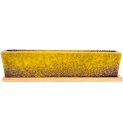 Succulent Pots - 12.1 Inch Large Succulent Planters Pots with Drainage Tray - color: Yellow