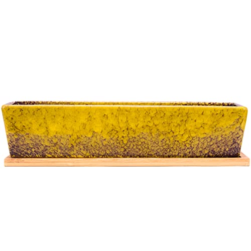 Succulent Pots - 12.1 Inch Large Succulent Planters Pots with Drainage Tray - color: Yellow