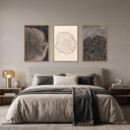 DRACIT Beige Pastel Wood Tree Rings Framed Canvas Wall Art Set-16"x24"x3 - color: Beige Tree Rings Wall Art, size: 16"L x 24"W