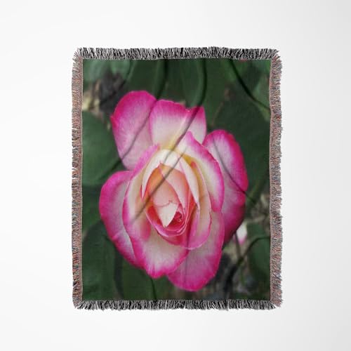 3dRose Lovely Double Delight Rose Blossom Woven Blanket