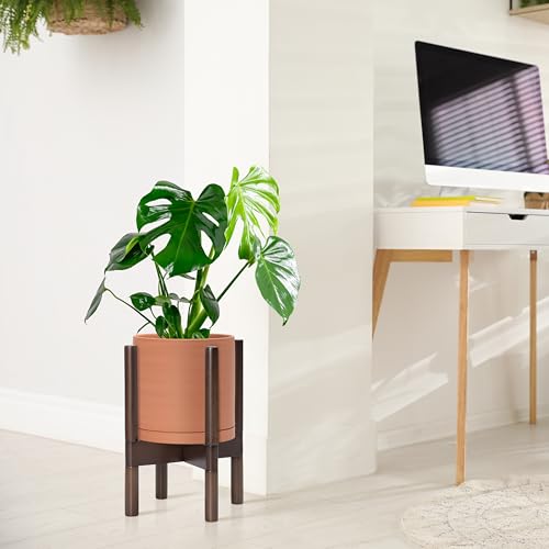D'vine Dev Terracotta Pot with Walnut Wood Stand, 8 in, 55-B-Y-5 - color: Terracotta Pot + Walnut Color Stand, size: 8 Inch