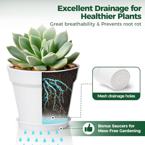 T4U Small Plant Pots 4 Inch 8 Pack, Plastic Indoor Flower Pots Saucer White - color: White, size: 4 inch