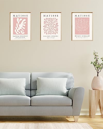 Framed Matisse Pink Wall Art Set of 3, Abstract Canvas Prints - color: Framed Matisse Pink, size: 16"L x 12"W