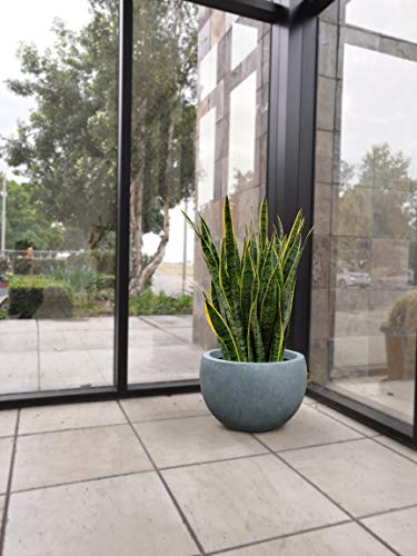 Kante Blue Gray Concrete Planter 11.8" Dia All-Weather Round Small Pot - color: Slate Gray, size: 11.8" d