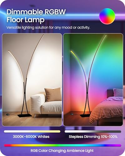 RGB Arc Floor Lamp, Dimmable Double-Light Standing Lamp, 3CCT, Remote & Foot Switch, for Living Room, Office, Bedroom, Black RB61LD05 - color: RGB (Red, Green, Blue)