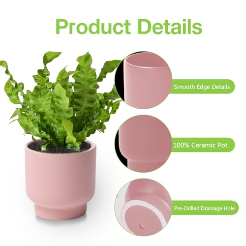 Pink Ceramic Plant Pots - Succulent Flower Small Planter, Pot for Indoor Outdoor Garden Plants with Drainage Holes - Plants Not Included 4.33 X4.33 Inch - color: Pink