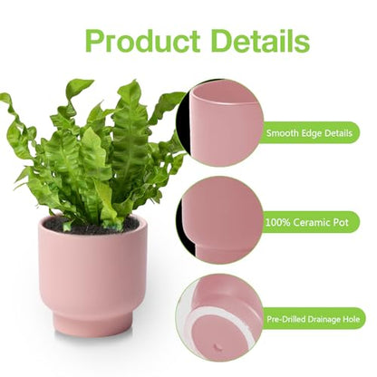 Pink Ceramic Plant Pots - Succulent Flower Small Planter, Pot for Indoor Outdoor Garden Plants with Drainage Holes - Plants Not Included 4.33 X4.33 Inch - color: Pink