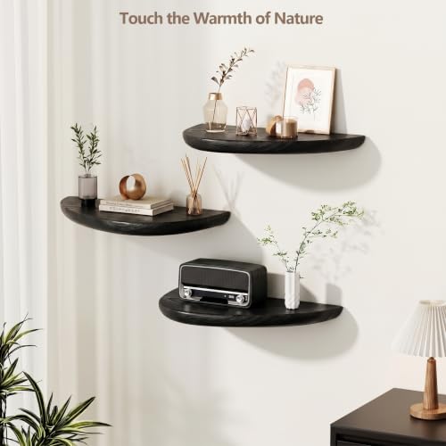 Solid Walnut Floating Shelves for Wall 15.7" Set of 2, Wall Mounted Shelf - color: Black