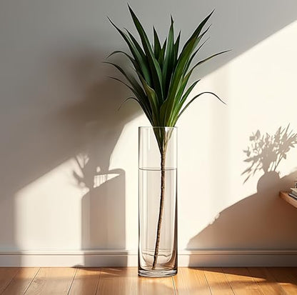 CYS EXCEL Cylinder Clear Glass Vase (H:26" D:6") | Multiple Size Choices Glass Flower Vase Centerpieces | Hurricane Floating Candle Holder Vase - size: H-26" D-6"