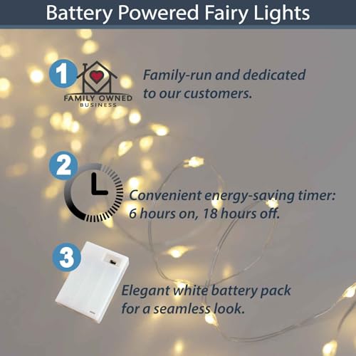 QBIS Warm White Christmas Lights Battery Operated, 40 Micro LEDs 6.5ft - size: 1PK-40 Warm White
