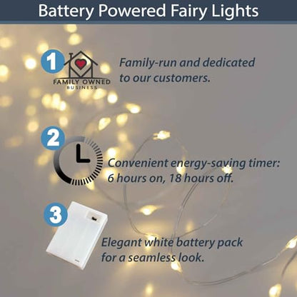 QBIS Warm White Christmas Lights Battery Operated, 40 Micro LEDs 6.5ft - size: 1PK-40 Warm White