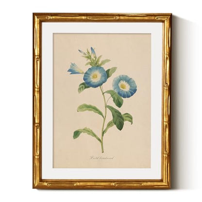 InSimSea Gold Bamboo Framed Wall Art, Blue Field Bindweed Prints, 11x14In - color: Field Bindweed