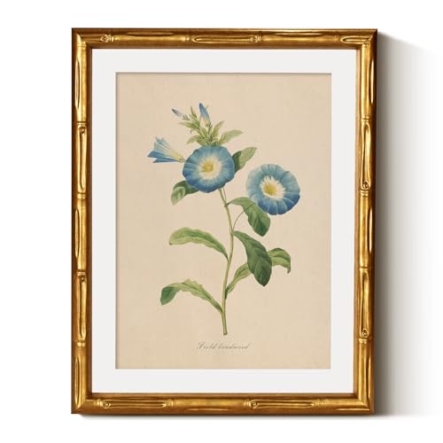InSimSea Gold Bamboo Framed Wall Art, Blue Field Bindweed Prints, 11x14In - color: Field Bindweed