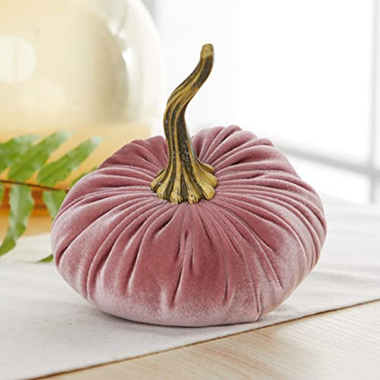 Your Heart's Content Blush 6.25 inch Velvet Pumpkin (Blush) - color: Blush