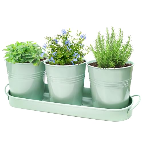Metal Herb Garden Planter Set with Tray, 3-Pack Green Zinc-Coated Windowsill Plant Pots with Drainage Holes & Handles for Indoor Outdoor Kitchen Garden - color: Green