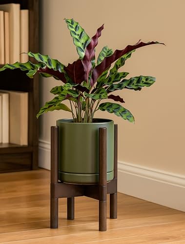 D'vine Dev Ceramic Pot with Walnut Wood Stand, Olive, 8 in, 55-B-Y-J - color: Olive Pot + Walnut Color Stand, size: 8 Inch