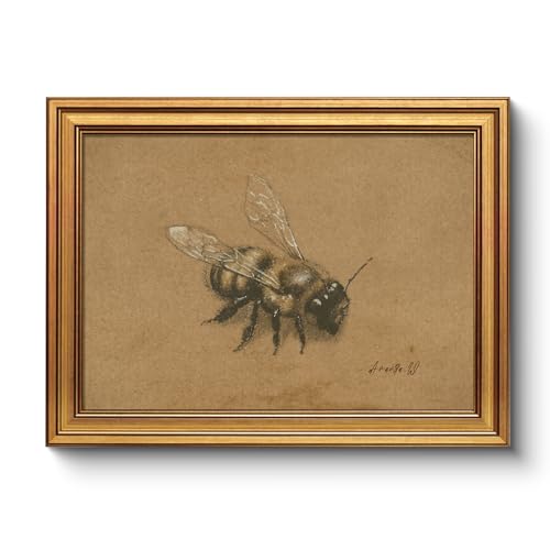Vintage Bee Illustration Print Wall Art 12x16 Antique Gold Framed Canvas, Rustic Retro Botanical Insect Painting, Classic Entomology Bumblebee Drawing Farmhouse Study Entryway Decor - color: Bee, size: 16"L x 12"W