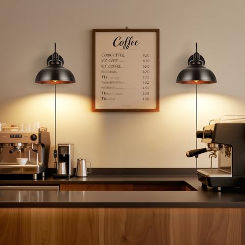 Lightess Plug in Wall Sconce with Dimmable Switch Black Barn Wall Lamp - color: Black with Plug-in Cord