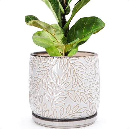 D'vine Dev Embossed Leaves Ceramic Planter, 8 in, Smoked White, 27-A-Q-1 - color: Smoked White, size: 8 Inch