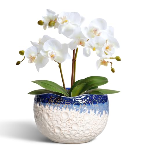 Ceramic Plant Pots, 6 Inch Orchid Pot with Drainage, Beige-Blue - color: Beige-blue, size: 6.2 Inch