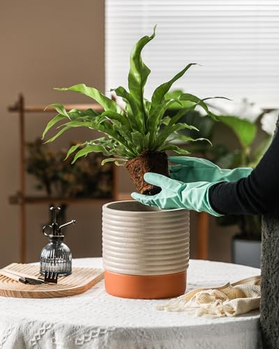 8 Inch Ceramic Self Watering Planter with Drainage Hole, Beige