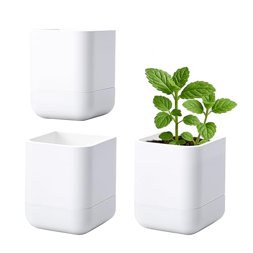 Phoenix Vine 3.5 Inch Wall Mounted Self-Watering Planter Pot for Indoor Houseplants and Herbs | Hanging Planter for Window Sills, Bathroom Walls, Home & Office Décor, White, Set of 3, 01-A-D-3 - color: White, size: 3.5" (3 Pack)