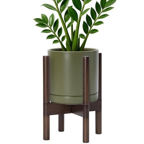 D'vine Dev Ceramic Pot with Walnut Wood Stand, Olive, 8 in, 55-B-Y-J - color: Olive Pot + Walnut Color Stand, size: 8 Inch