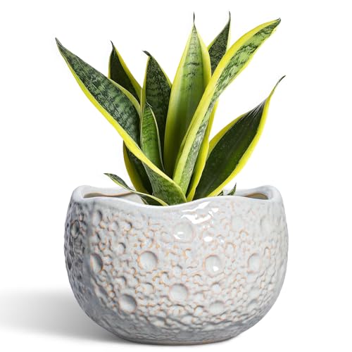 Ceramic Pots for Plants, 8 Inch Planters for Indoor Plants, Grey - color: Gray, size: 8.2 Inch