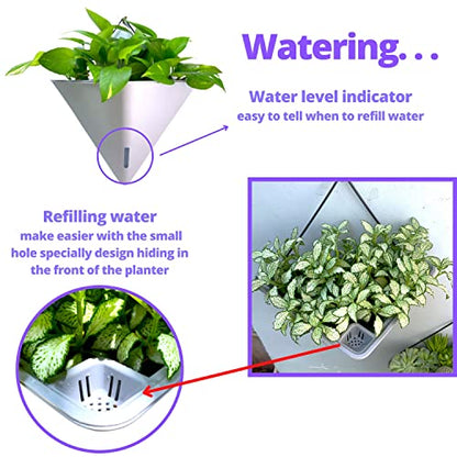 LaLaGreen Wall Planters for Indoor Plants (12in, 2 Pack) White Planter - color: White X 2 Pack