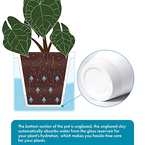 D'vine Dev Self-Watering White Terracotta Planter Pot, 8 in, 37-X-C-2 - color: White, size: 8 Inch
