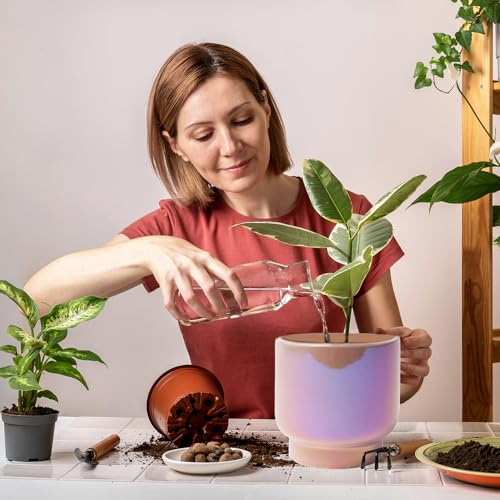Pink Ceramic Plant Pots - Succulent Flower Small Planter, Pot for Indoor Outdoor Garden Plants with Drainage Holes - Plants Not Included 4.33 X4.33 Inch - color: Pink Gradient