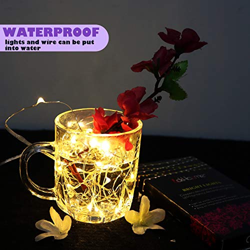 6 Pack Fairy Lights Battery Operated With Timer,2 Remotes,20 LED Warm White - color: Warm White, size: 6.5ft