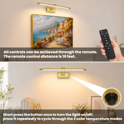 Battery Operated Picture Light for Wall,Gold Brushed 23.6-Inch - color: Gold, size: 23.6 Inch