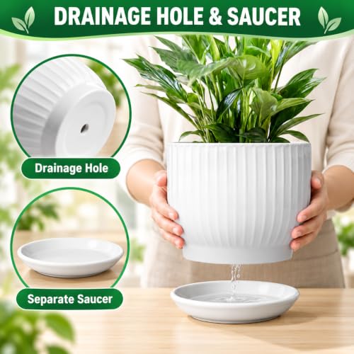 8 Inch Ceramic Plant Pot,White - color: Pure White, size: 8 Inch(1 PCS)