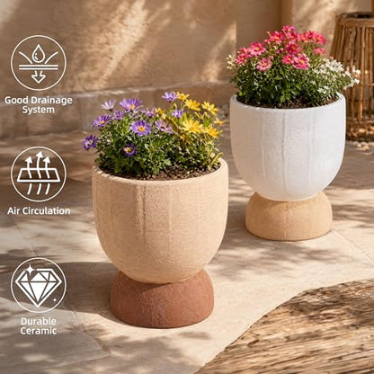 DREAMLOOM 6.4Inch Coarse-Grained Terracotta Pots for Succulents, 2Pcs Flower Planters with Drainage Holes, Bonsai, Cactus Aloe, Herbs, Orchid, Rustic Color - color: Two-tone