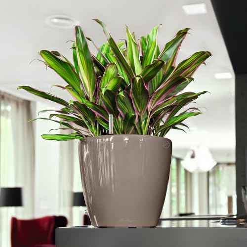 Lechuza Classico LS 35 Shiny Taupe High Gloss, Self-Watering Round Planter, D13.8 H13 in - color: Shiny Taupe, size: D35 H33 cm