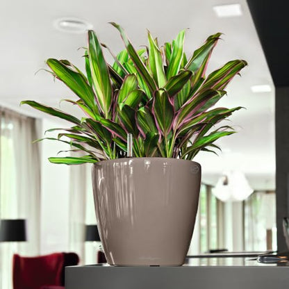 Lechuza 16045 Classico LS 28 Self-Watering Planter, Shiny Taupe High Gloss - color: Shiny Taupe, size: D28 H26 cm