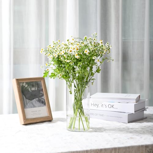 Clear Flower Vase, Non-breakable Vases, 5" W x 5" H, Acrylic Vase, Aesthetic Room Decor Cylindrical Modern Flower Vases for Table Centerpiece, Home Decor, Women Floral Arrangement Gift - color: Clear, size: 5" W x 5" H