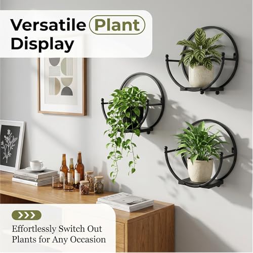 Wall Plant Holders for Indoor Plants, Round Mounted Frame, 2 Pack - size: 11 inches x 5.9 inches x 11 inches