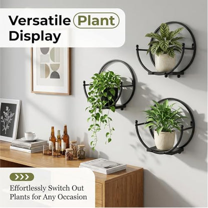 Wall Plant Holders for Indoor Plants, Round Mounted Frame, 2 Pack - size: 11 inches x 5.9 inches x 11 inches