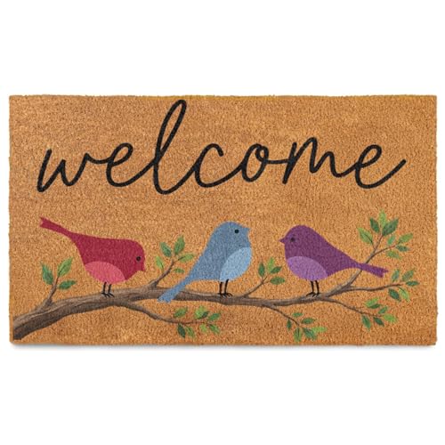 Welcome Coir Door Mat Outside and Indoor Entrance, Outdoor Mat for Front Door, Welcome Home Decorations, Colorful Outdoor Coir Doormat Porch Patio - Birds Design, XXL 36x60 Inch - color: Birds Design, size: 3' x 5' (Rectangular)