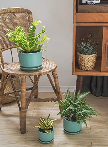 LE TAUCI Ceramic Pots for Plants, 4.3+5.3+6.8 Inch, Set of 3, Turquoise - color: Turquoise, size: 4.3"+5.3"+6.8"