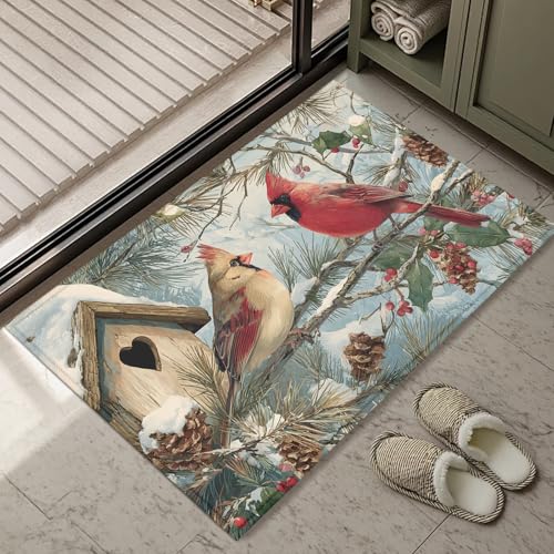 Red Cardinal Bird Bath Mat Rug, Door Mat Doormat Entrance Non-Slip Bathroom Rugs for Entryway Bathroom Kitchen 17 x 30 Inch - color: Red Cardinal Bird