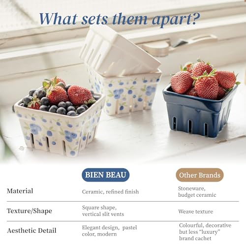 BIEN BEAU Ceramic Berry Baskets Set of 4, Blueberry Colander Fruit Bowls - color: Blue