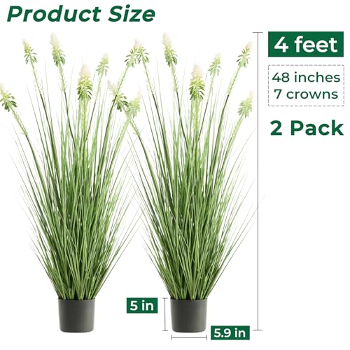 4ft 2-Pack Faux Horsetail Reed Grass with White Cockscomb Flower in Pot - color: White
