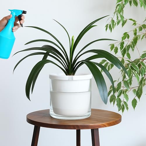 D'vine Dev Self-Watering White Terracotta Planter Pot, 10 in, 37-X-D-2 - color: White, size: 10 Inch