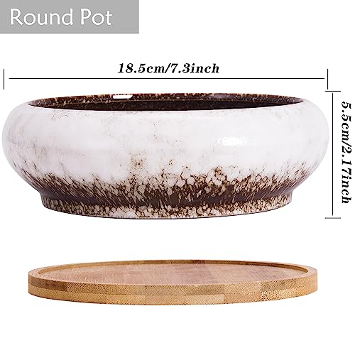 Succulent Pots, 1 Rectangle Planter + 1 Ceramic Bonsai Pots with Drain Tray - color: White