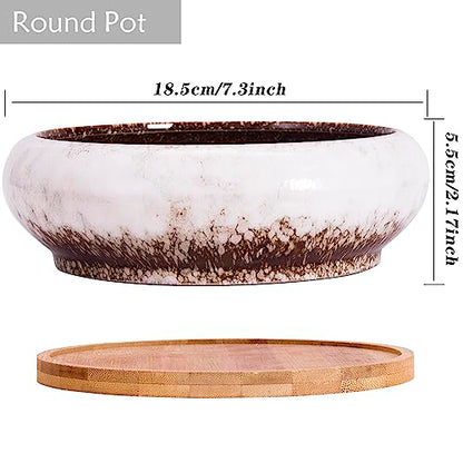 Succulent Pots, 1 Rectangle Planter + 1 Ceramic Bonsai Pots with Drain Tray - color: White