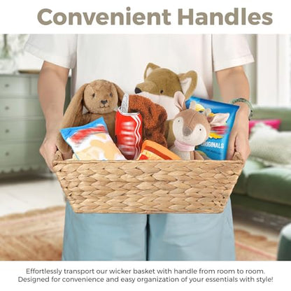 Set of 3 Snack Baskets, Water Hyacinth Basket,Wicker Snack Basket Organizer - color: Natural Brown Color